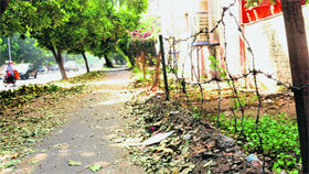 A barbed wire fence alongside a cycle track in Sector 34, Chandigarh.