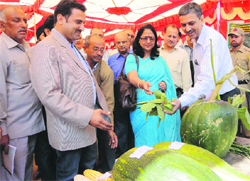 Deputy Commissioner Nirmal Sharma, along with other officers, visits stalls during the awareness camp in Reasi on Tuesday. A Tribune Photograph