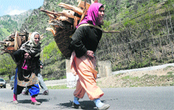 Women carry firewood at Ganderbal on the Srinagar-Leh highway. Tribune photo: amin war