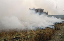 Smoke billows from a field near Bathinda where paddy stubble is being burnt.