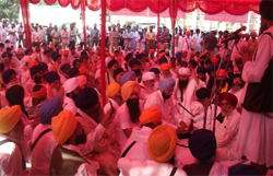 Various Sikh organisations besides Congress and SAD (Amritsar) took part in the protest outside the DC office in Ferozepur on Thursday. A Tribune photograph