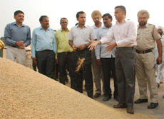 Revenue Secretary Sarabjit Singh (right) inspects the lifting of paddy at a mandi on Thursday.