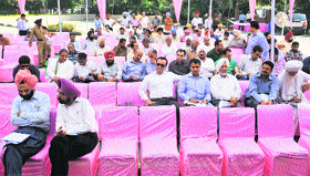 Empty chairs during the GMADA auction in Mohali on Thursday.