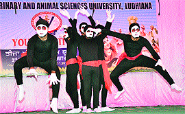 Students present a mime act during a youth festival at Guru Angad Dev Veterinary and Animal Sciences University in Ludhiana on Friday.