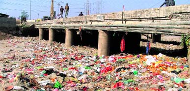 Heaps of garbage in Sidhwan Canal near the Ferozepur Road bridge in Ludhiana.