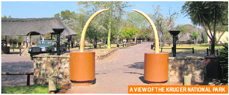 Kruger National Park 