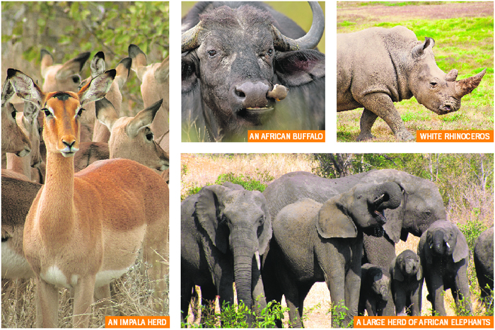 Kruger National Park