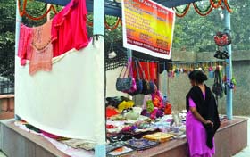 AN APOLOGY FOR A SHOP: A woman selling goods at the newly inaugurated Mahila Haat near Delhi Gate on Sunday