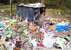 Polythene bags lying in a garbage box in Shanti Nagar, Kurukshetra