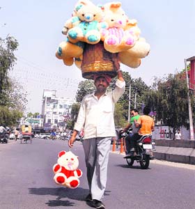 S(teddy) going: With the festive season on, a roadside vendor carrying teddy bears hopes for brisk business in Jalandhar