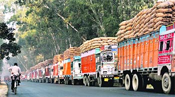 Paddy-laden trucks parked on the national highway in Khamano. 