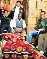 Growers sell apples at the wholesale market in Shimla.