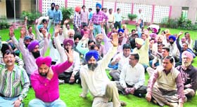 Non-teaching staff members of the Dr BR Ambedkar National Institute of Technology sit on a dharna in Jalandhar on Tuesday