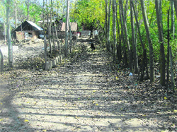 A view of a link road in Gund Gushi of Handwara tehsil in North Kashmir.