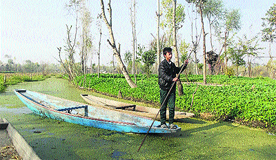 A shikara on the Dal Lake in Srinagar on Tuesday. 