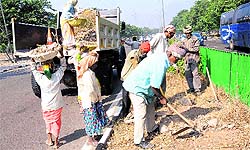 MC workers clear road dividers of grass on Purv Marg in Sector 29 on Wednesday