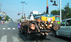 Risk factor: An overloaded tractor-trailer plying on a city road. A Tribune photograph