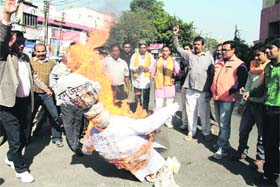 Workers of the Vishwa Hindu Parishad burn an effigy of Rajya Sabha MP Ram Jethmalani in Dehradun on Saturday