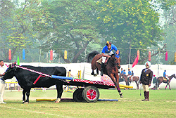A student displays his horse riding skills during the founders day function of Punjab Public School in Nabha