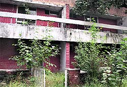 Government houses lie vacant as the district administration fails to repair and renovate them in Jalandhar