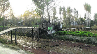 People living near the Dal Lake have constructed illegal wooden footbridges, flouting the government rules.