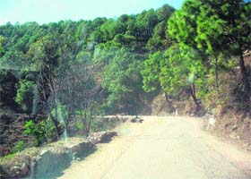 A damaged stretch of a road in Kasauli