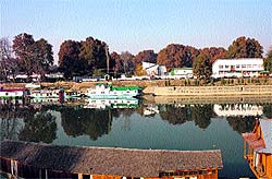 A sunny day during autumn season in Srinagar. Leaves are changing colour and the days are becoming shorter as winter approaches in Kashmir