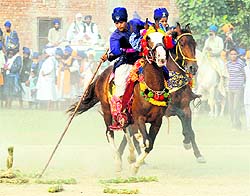 Nihang Sikhs perform stunts on 'Fateh Divas' in Amritsar on Wednesday