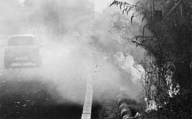 Smoke caused by a fire in wild growth in Sector 52 on Wednesday