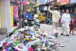 A garbage heap at Lakhdatta Bazar in Jammu on wednesday