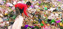 A boy picks up rags from a heap of garbage near Dugri Bridge