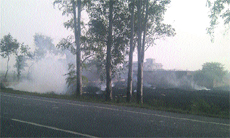 Paddy stubble is burnt at Patli Dabur village in Sirsa on Thursday.