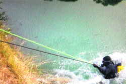 A diver gets into the Bhakra mainline canal to fish out Gautams body at Tohana in Fatehabad on Thursday. 
