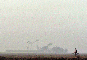 A farmer pedals through a field on a foggy morning near Samrala on Thursday.