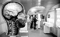 Visitors at the science express exhibition in Chandigarh on Friday