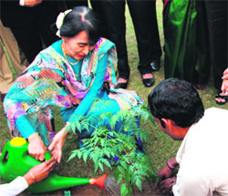 Aung San Suu Kyi plants a sapling at Energy and Resources Institute in Gurgaon on Thursday.