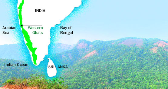A panoramic view of the majestic Western Ghats at Palchuram in Kerala.