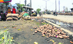 Scattered fruits and vegetables after the Municipal Corporation's anti-encroachment drive at an "Apni Mandi" in Ludhiana. A File photograph
