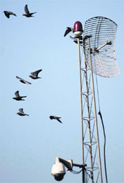A CCTV camera installed at an intersection in Jammu