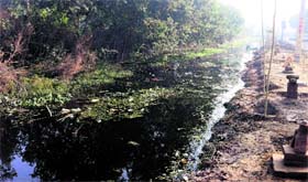 A dirty canal flows through Phagwara.