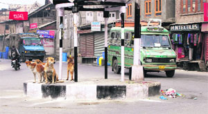 A traffic police post lies vacant as a police vehicle passes a road in Srinagar on Sunday. 