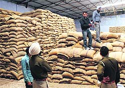 Police officials inspect a private mill at Ram Nagar village near Rajpura