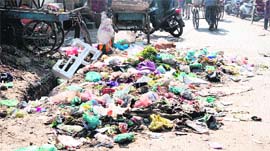 A garbage dump near Hathi Gate in Amritsar.