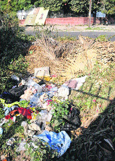 Heaps of garbage lying at the rear of houses in Sectors 10 and19, Chandigarh. Sanitation workers turn up at will to lift the garbage from the areas.