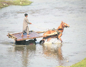 A boy crosses the Balol rivulet on the outskirts of Jammu on Tuesday.