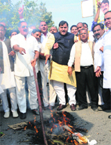 BJP members burn an effigy of Prime Minister Manmohan Singh in Karnal on Wednesday. 