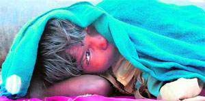 With the temperature plummeting and winter setting in, a poor child tries to protect himself from the cold on the banks of the Ganga in Haridwar on Thursday.