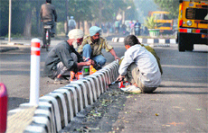 Workers paint a road divider on the PAU campus ahead of President Pranab Mukherjees visit to the university in Ludhiana on Thursday.
