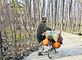 A potter carries earthen pots on a bicycle to his workshop at Soibugh in Srinagar.