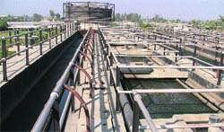 A view of sewage treatment plant at Bhattian village on Friday. Photo: Inderjeet Verma